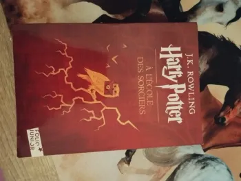 Harry Potter a l'école des sorciers