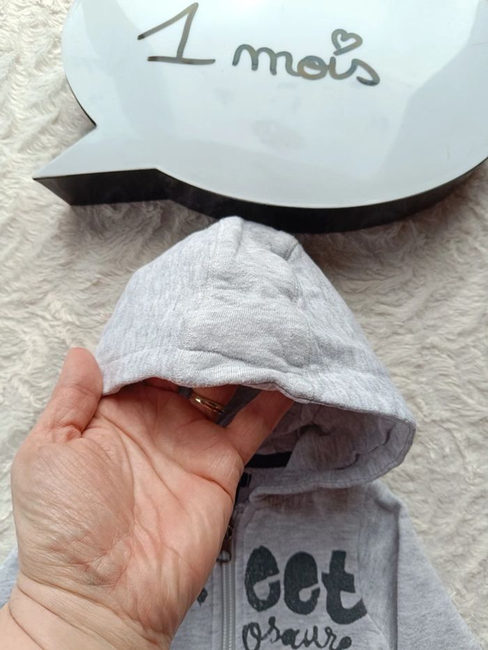 Gilet veste zippée avec capuche Garçon 1 mois streetosaure Dinosaure Kiabi - photo numéro 5