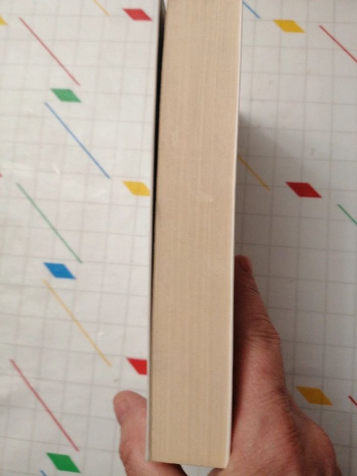 Double piège - photo numéro 4