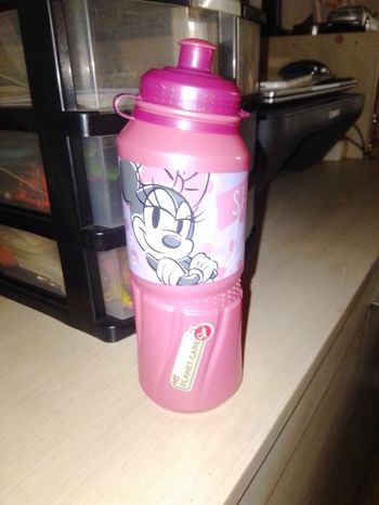 Gourde Minnie 