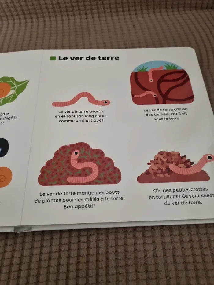 Livre "les petites bêtes " - photo numéro 10