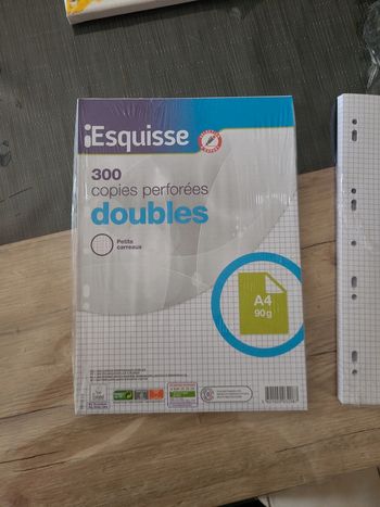 Lot feuilles petits carreaux