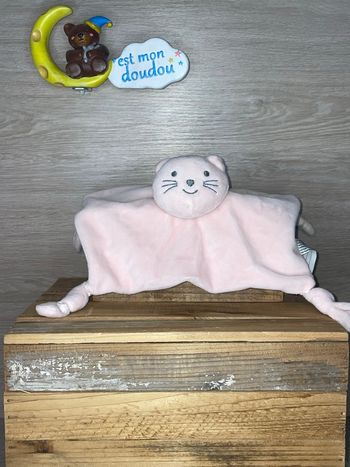 BC98 doudou chat 🐱 boutchou