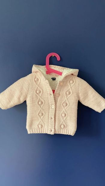 Gilet à capuche / veste