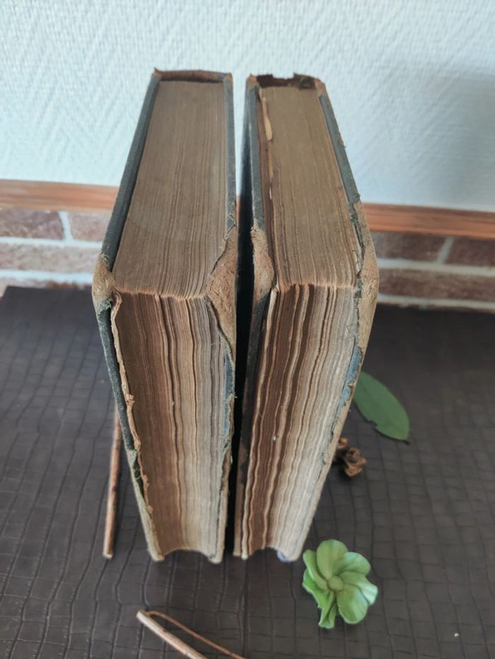 Encyclopédie Larousse illustré - Livre ancien - photo numéro 11