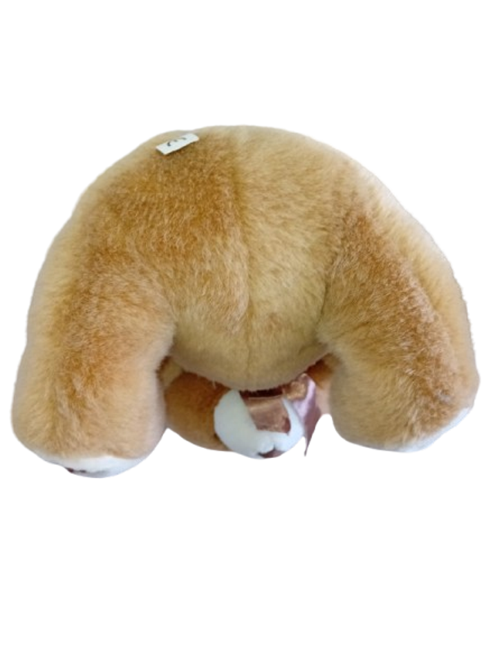 Ours en peluche - photo numéro 2