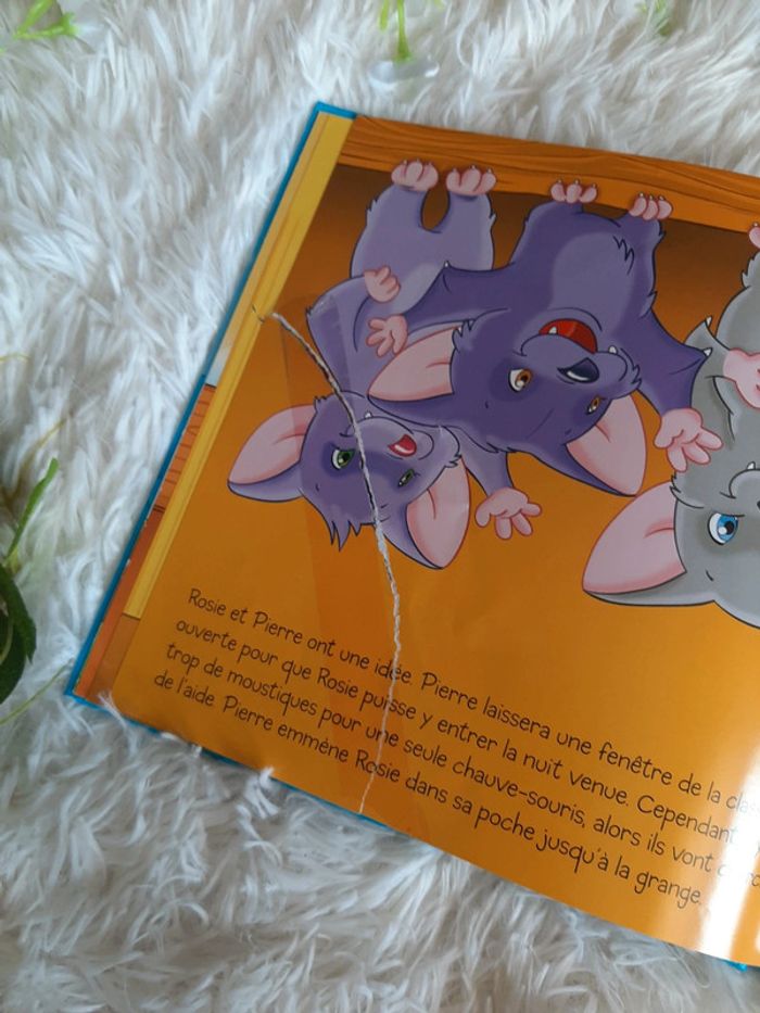 Rosie la chauve-souris - photo numéro 4