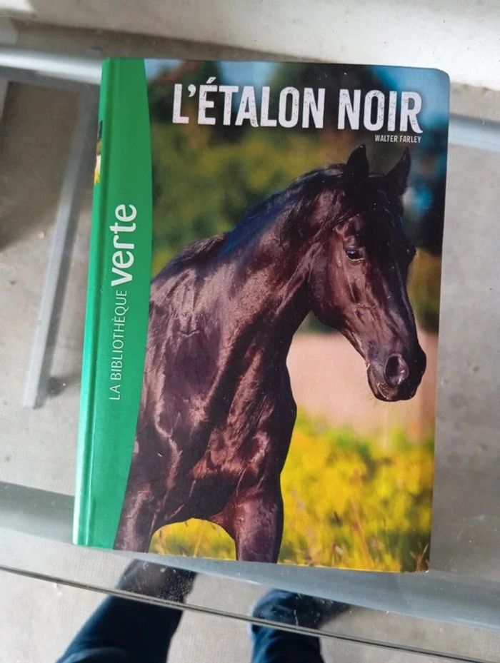 Livre l'étalon noir bibliothèque verte