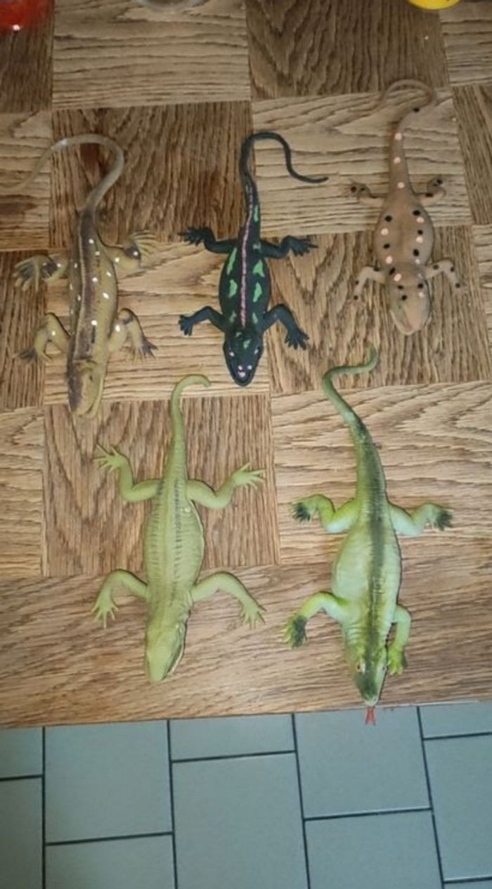 lézards en plastique