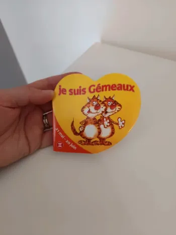 Livre je suis Gémeaux