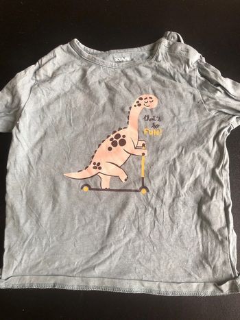 Haut dino