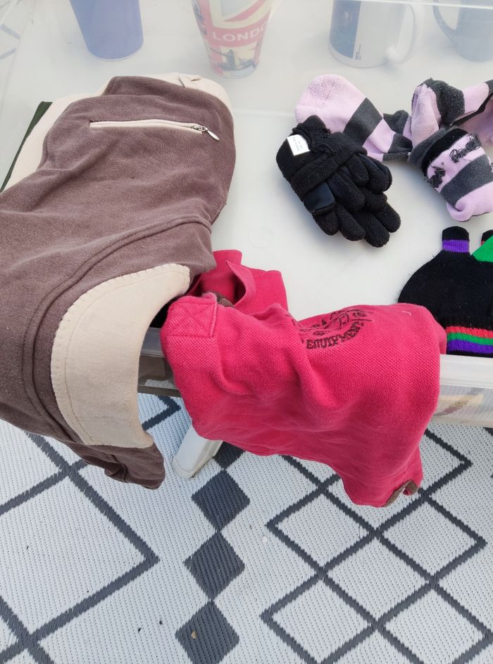 Polo équitation - photo numéro 2