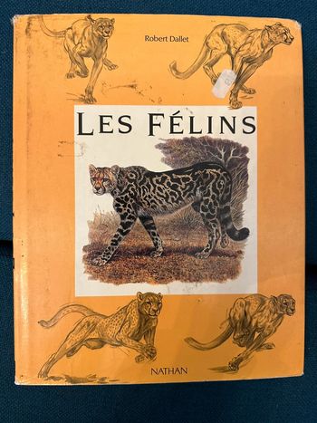 Grand livre vintage illustrations Robert Dallet croquis Les Félins Nathan tigres lions panthères