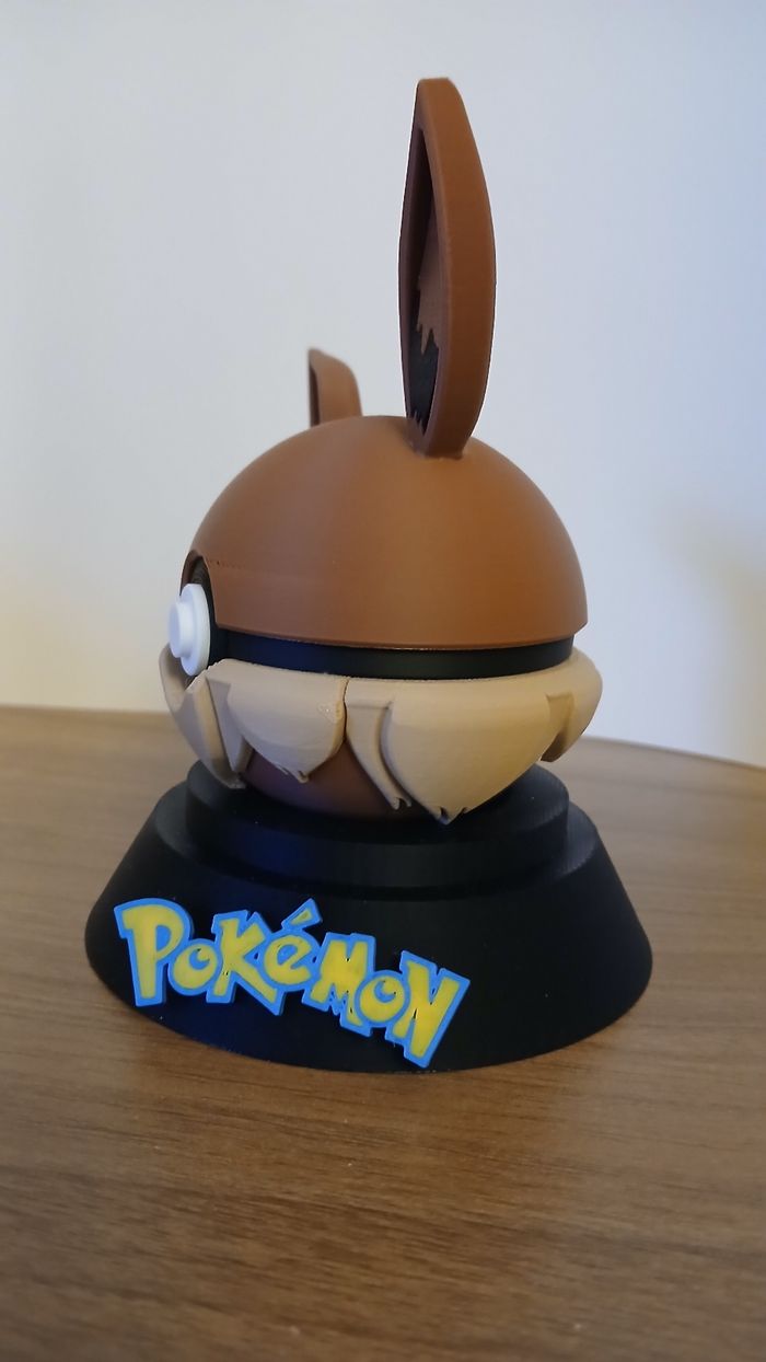 Pokeball Evoli (Marron) - photo numéro 2