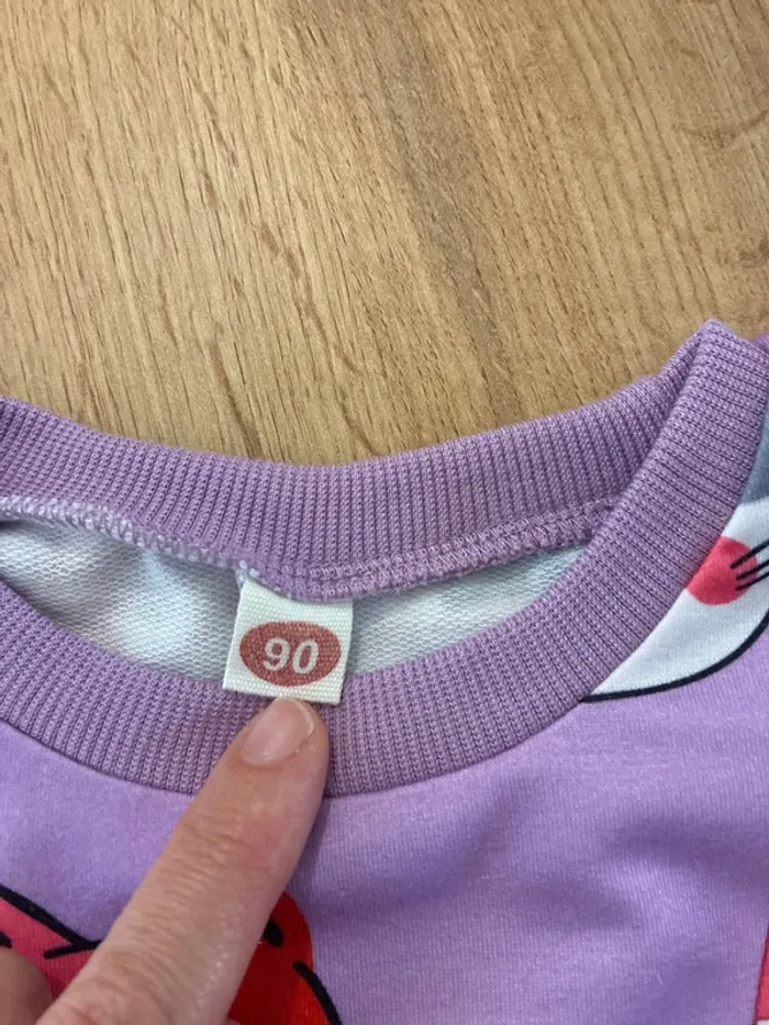 SWEAT 24 mois - photo numéro 3