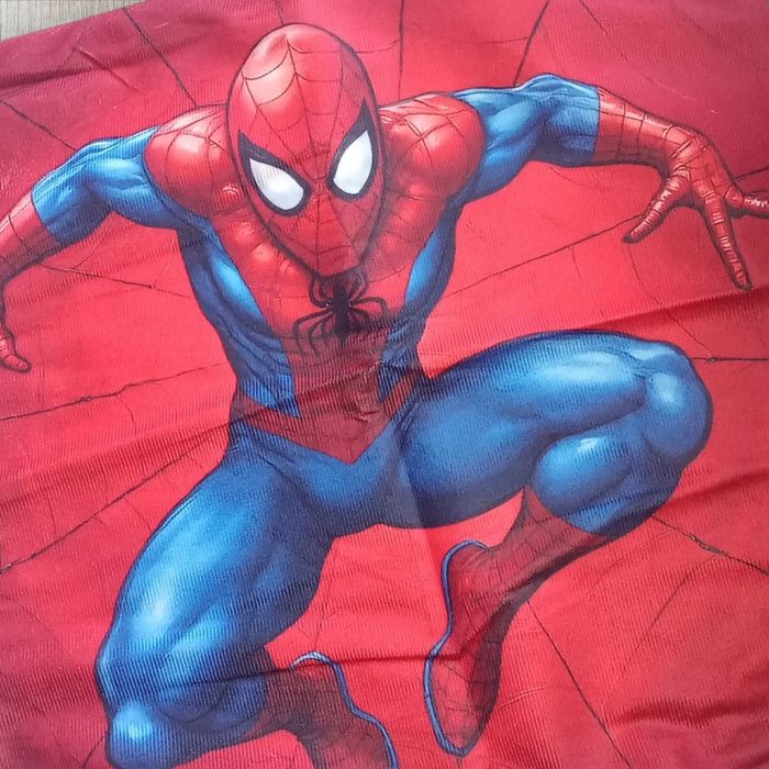 Housse de coussin SPIDERMAN marvel - photo numéro 2