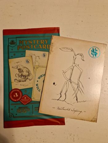 Mystery postcard Harry Potter