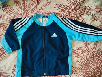 Veste adidas