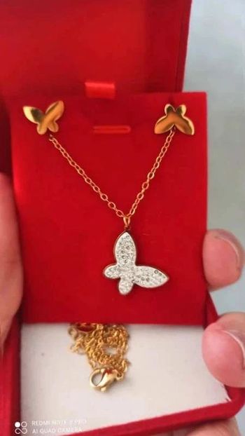 Parure  papillon doré  boite  rouge  acier  inoxydable