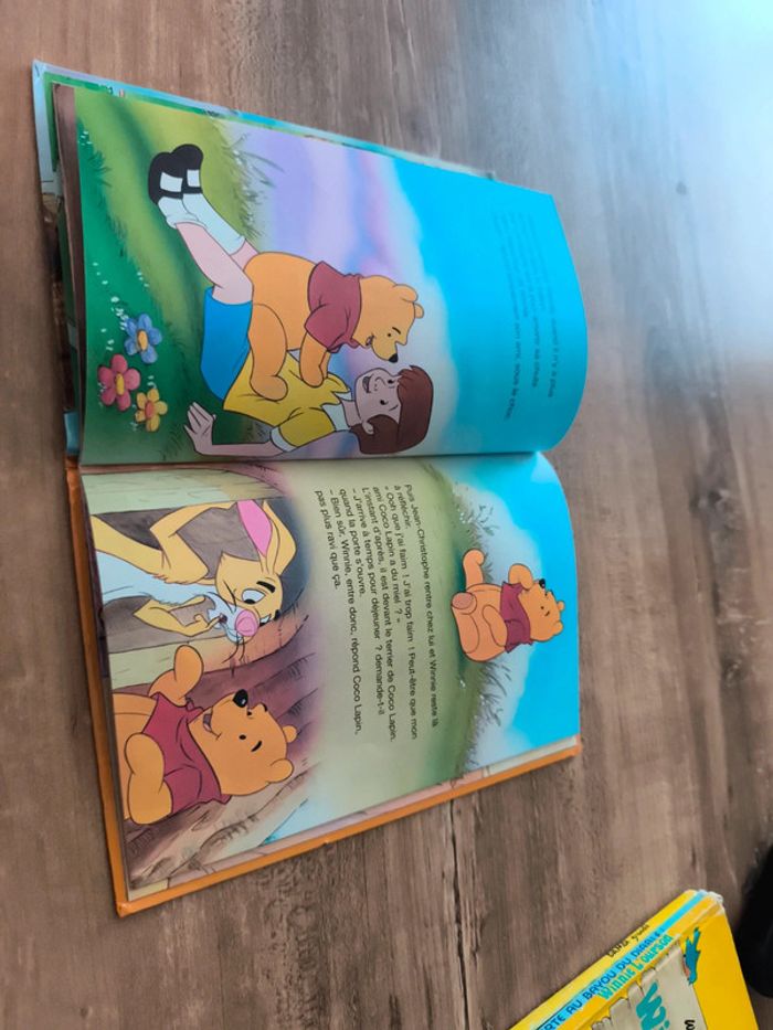Winnie l'ourson et l'arbre à miel - photo numéro 2