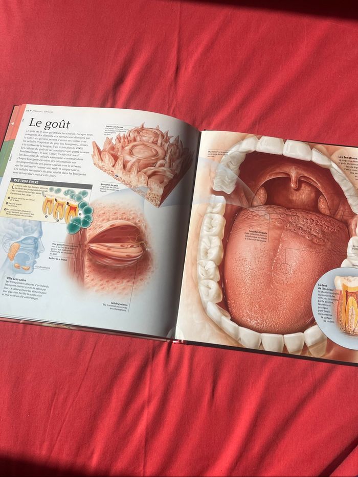 Livre - photo numéro 3