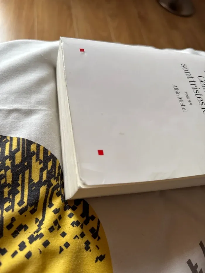 Livre Katherine Pancol les écureuils de Central Park sont tristes le lundi - photo numéro 4