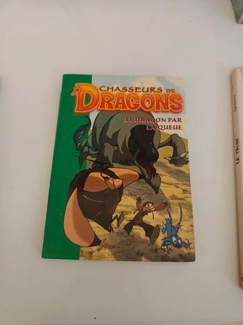 Chasseurs de dragons