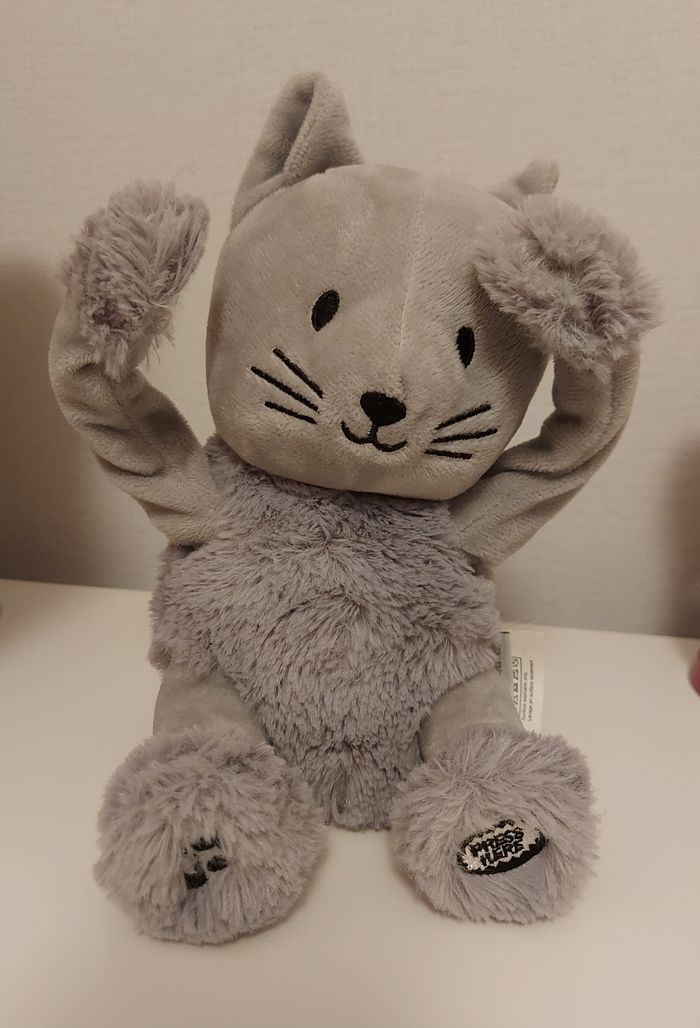 Chat coucou oscar le chat