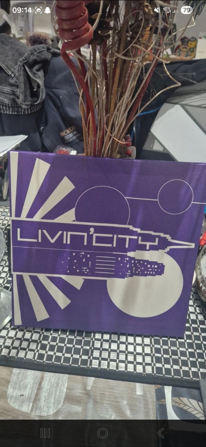 Vent cadre de déco - photo numéro 2