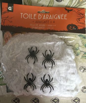 toile blanche avec 4 araignées