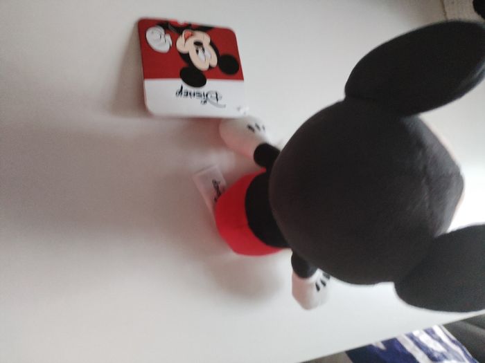 Mickey - photo numéro 5