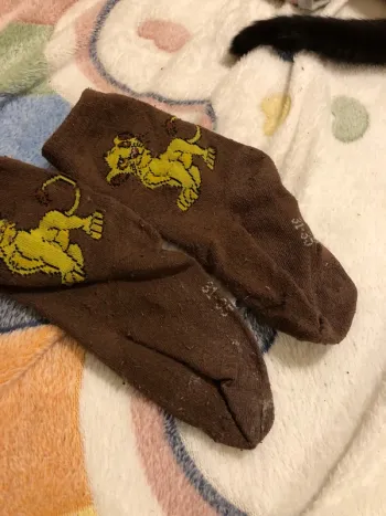 chaussettes le roi lion