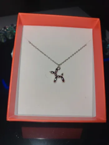 Chaîne avec chien en ballon en acier inoxydable