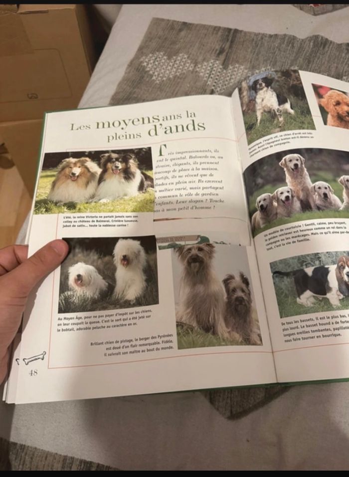 Livre sur les chien 🐶 - photo numéro 4
