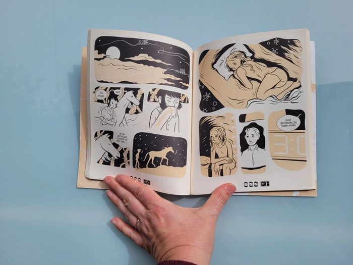 BD Gray Horses, Larson (24) - photo numéro 4