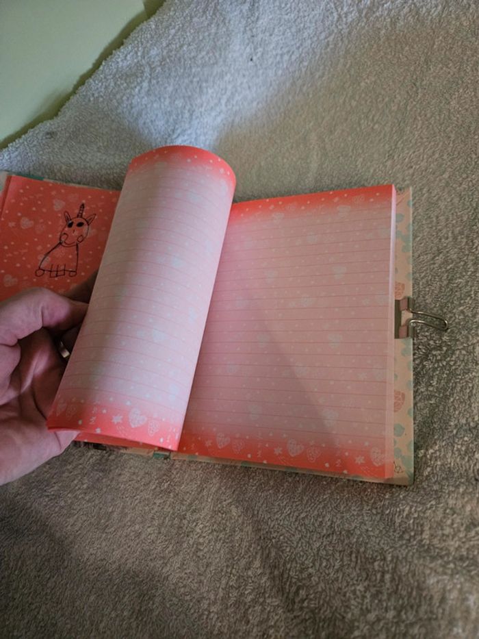 Mon carnet secret - photo numéro 6