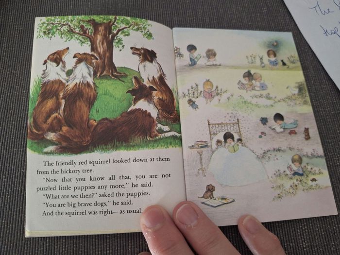 LIVRE ANGLAIS Vintage Four puppies - photo numéro 6