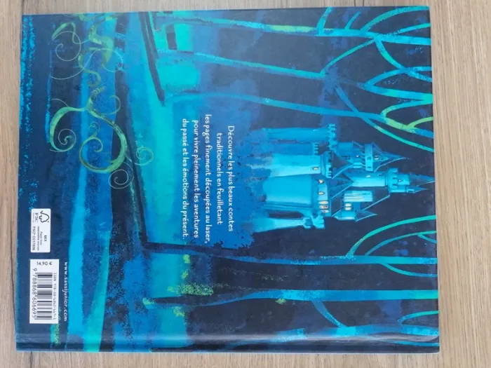 Livre cendrillon très belles illustrations - photo numéro 2