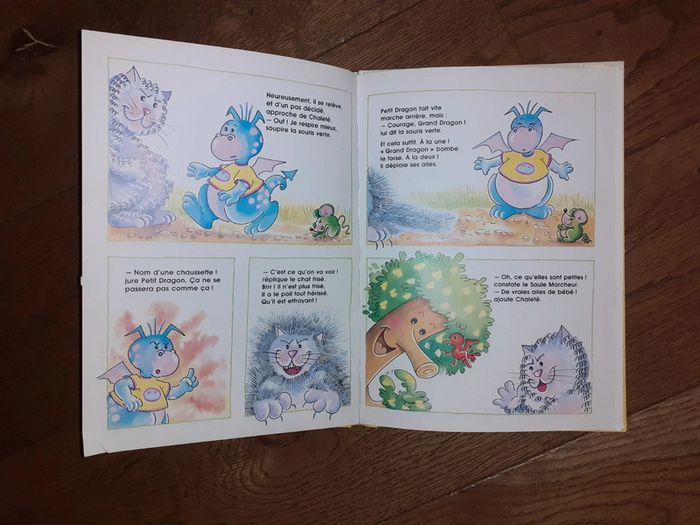 Petit dragon la poudre de gratouillonnette - photo numéro 2