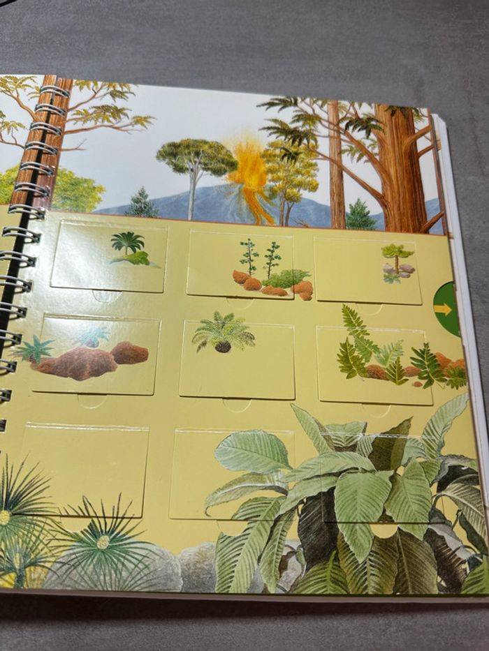 📚 Explore! Les dinosaures – mes premières découvertes (Gallimard Jeunesse) - photo numéro 7