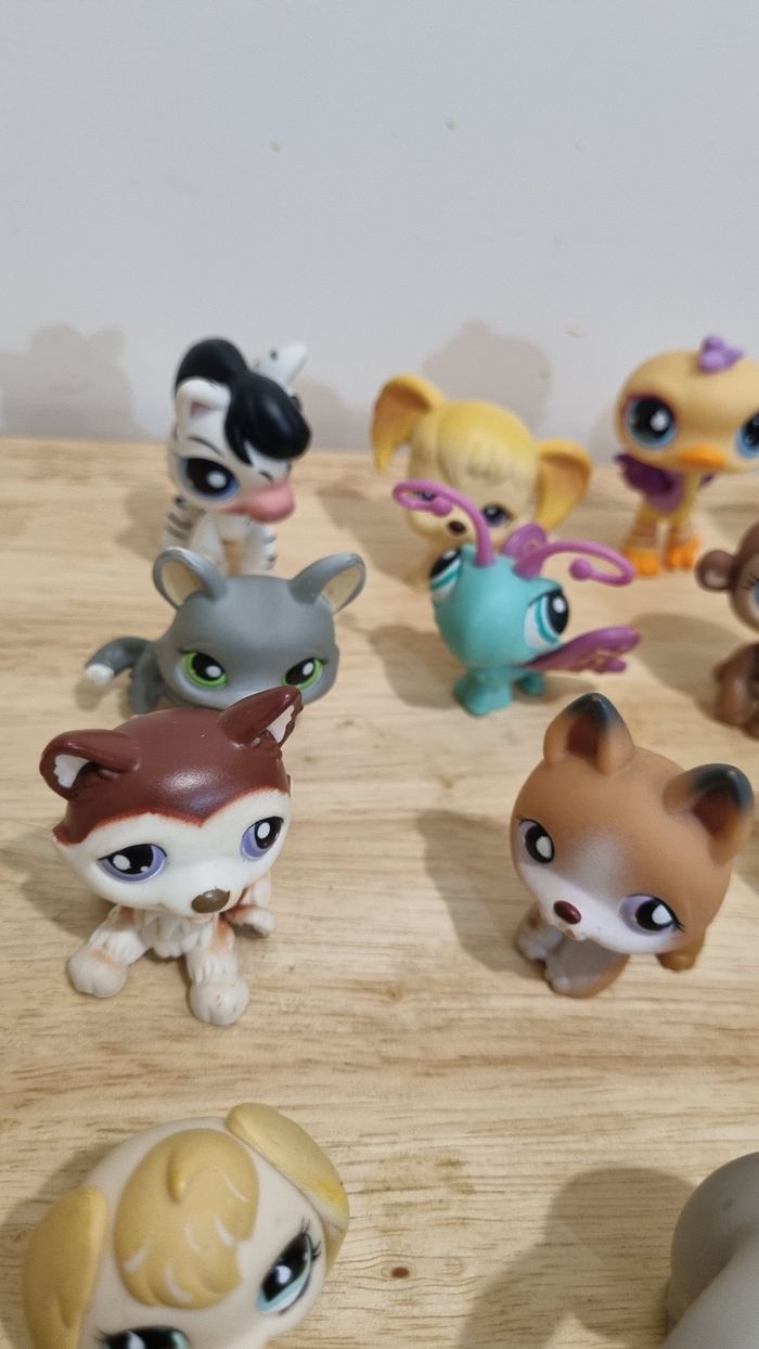 Lot de 22 petshops Hasbro + accessoires - photo numéro 5
