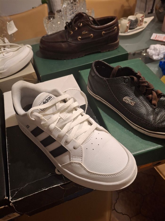 Baskets lacoste Adidas