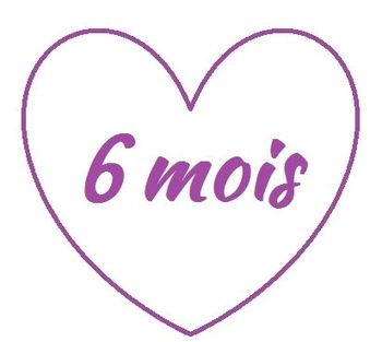 6 mois