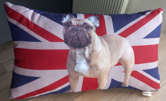 Coussin angleterre bouldog