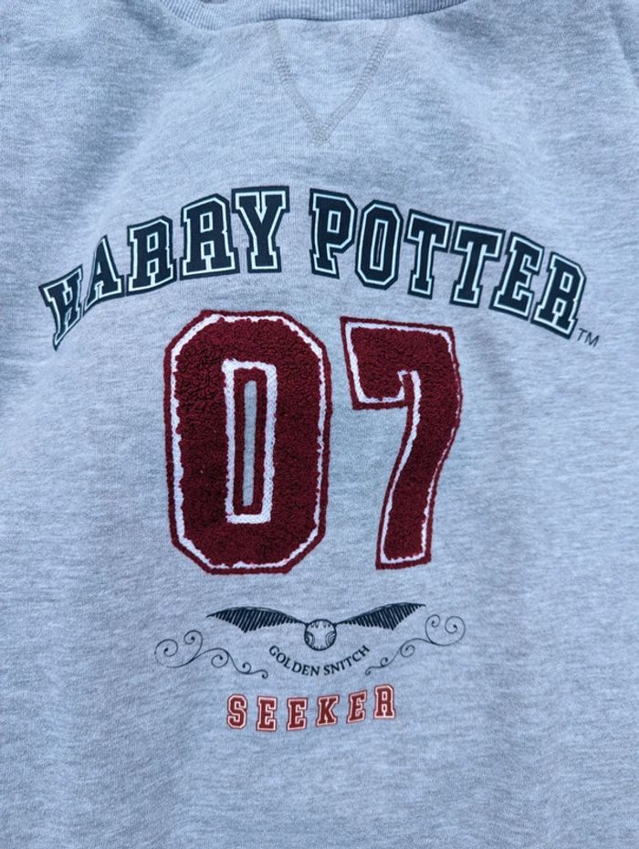 Sweat Harry Potter - photo numéro 2