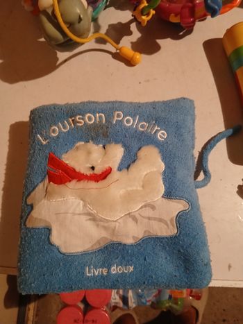 Livre mousse l ourson polaire