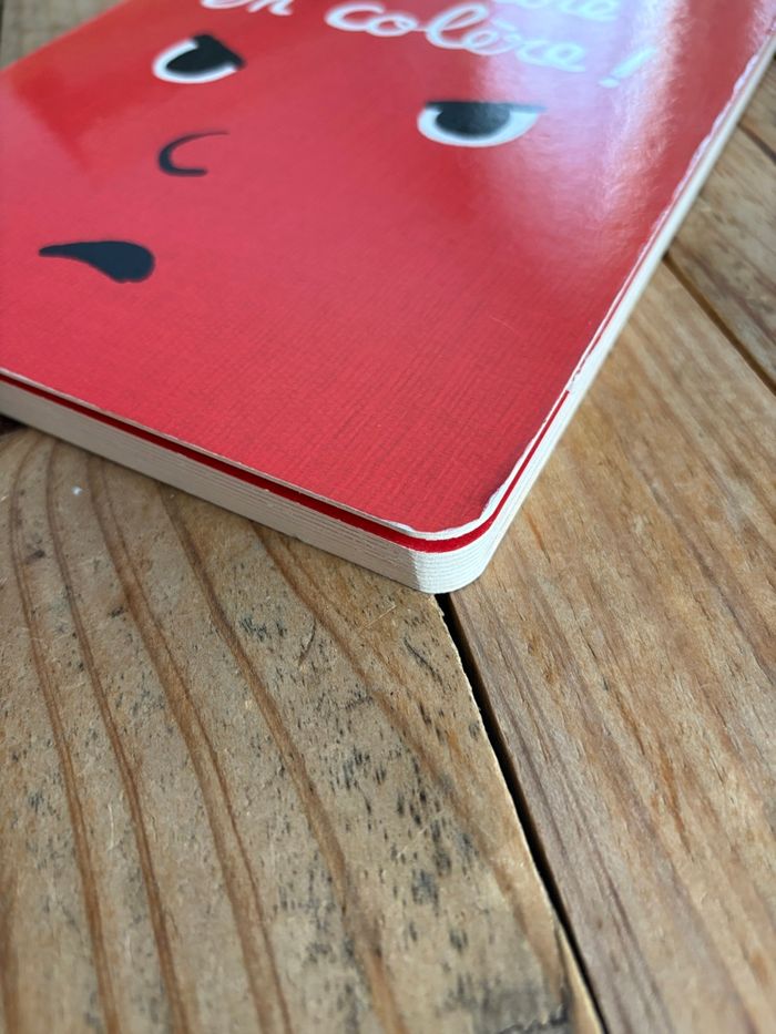 Livre de la colère - photo numéro 3