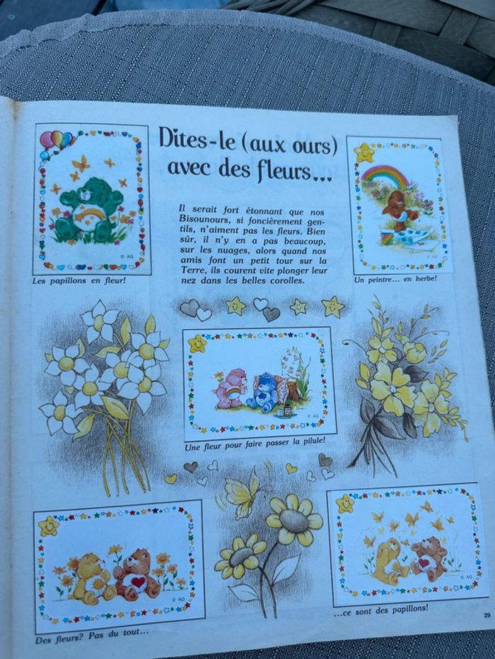 Album Panini stickers ancien vintage Les Bisounours complet images Care Bears stickers - photo numéro 12