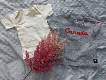 Lot de 2 t-shirts manches courtes