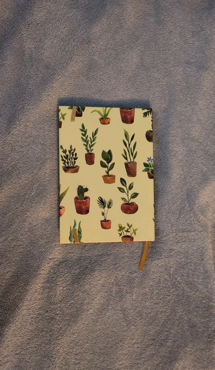 Carnet de notes cactus - photo numéro 2